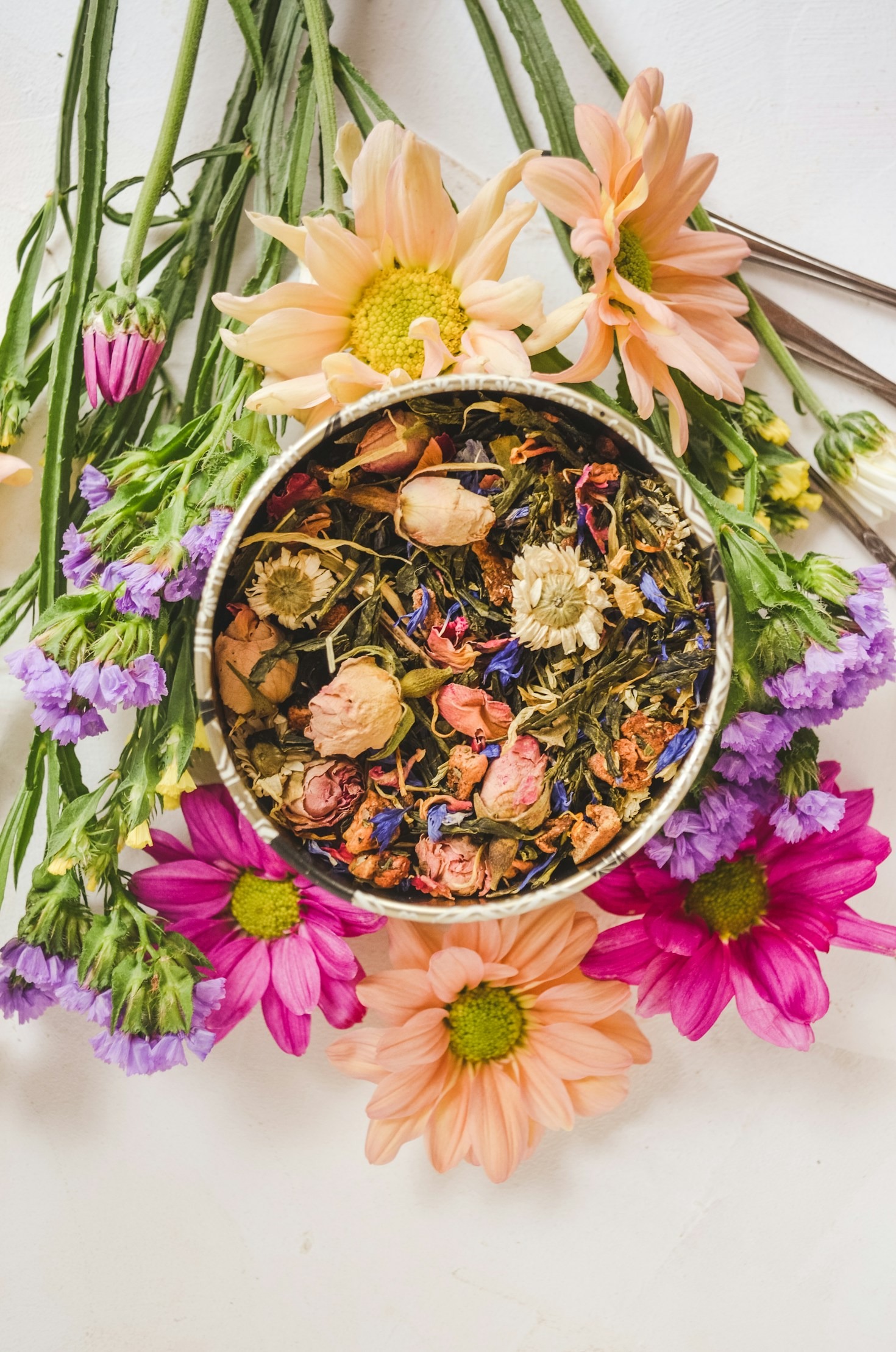 Histórias de Cura com Plantas Tradicionais
